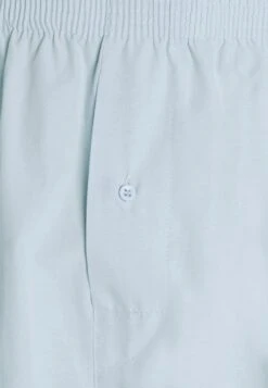 Pier One 5 Pack - Boxershort - Light Blue/White -Pier One Algemene Winkel Voor Herenmode 8d526a81d413439291c57bcecfa7d443